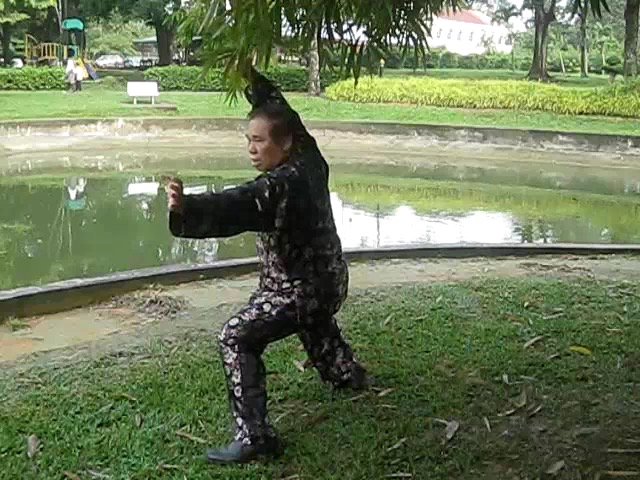 Shaolin 72 Chin-Na Techniques 2015